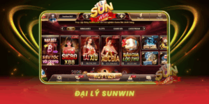 Dai Ly Sunwin Uy Tin Lua Chon Toi Uu Cho Nha Dau Tu